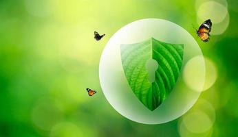 The green shield protects nature and protects the environment. photo