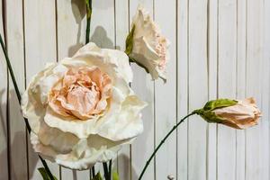 White artificial roses in vase on old white vintage wooden background photo