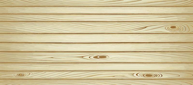 Panoramic light wood texture with knots, plank background - Vector