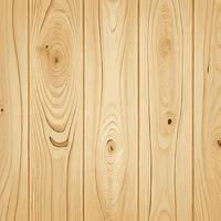 Light wood texture with knots, plank background - Vector