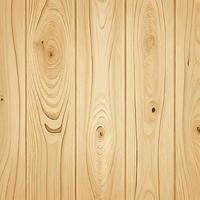 Light wood texture with knots, plank background - Vector