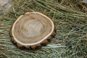 Closeup photo of tree trunks lying on hay Wooden saws Cross section of the tree