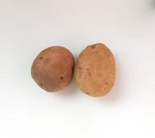 potato isolated on white background close up photo