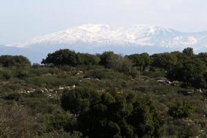 Snow lies on the top of Mount Hermon photo