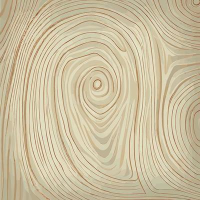 Light wood texture background with knots - Vector