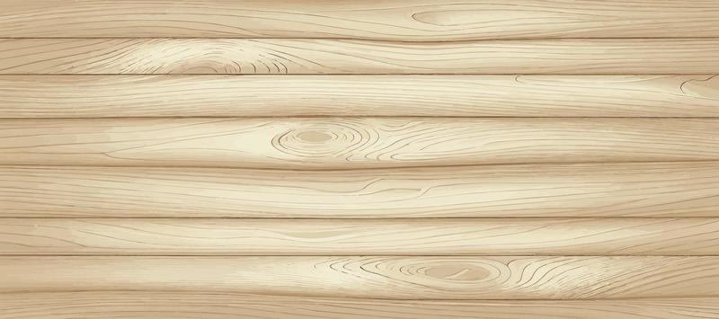 Panoramic light wood texture with knots, plank background - Vector