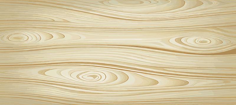 Panoramic texture of light wood with knots - Vector