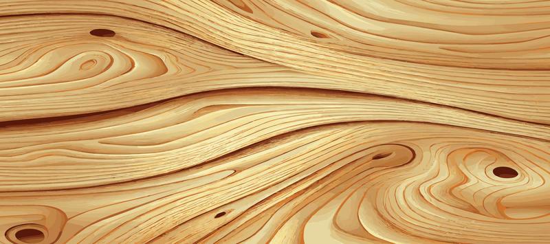 Panoramic texture of light wood with knots - Vector
