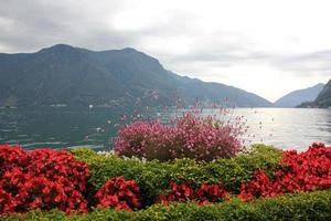 In a park on the shores of Lake Garda in Italy. photo