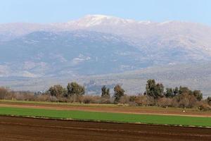 Snow lies on the top of Mount Hermon photo