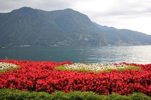 In a park on the shores of Lake Garda in Italy. photo