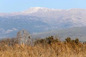 Snow lies on the top of Mount Hermon photo