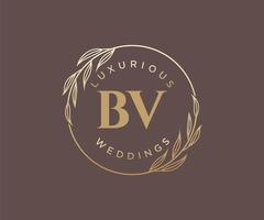 plantilla de logotipos de monograma de boda con letras iniciales bv, plantillas florales y minimalistas modernas dibujadas a mano para tarjetas de invitación, guardar la fecha, identidad elegante. vector