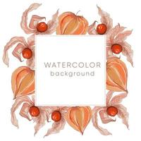 Watercolor background with physalis vector