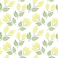 Botanical seamless pattern with yellow mimosa flowers and leaves on white background. Backdrop with elegant flowering plants. Natural vector illustration for textile print, wallpaper, wrapping paper.