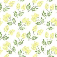 Botanical seamless pattern with yellow mimosa flowers and leaves on white background. Backdrop with elegant flowering plants. Natural vector illustration for textile print, wallpaper, wrapping paper.