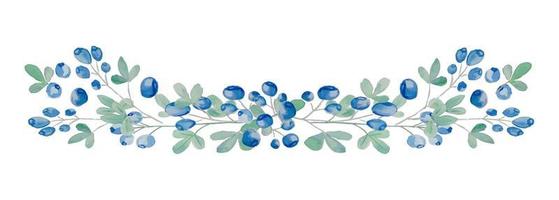 Vector watercolor blueberry horizontal branch on white background