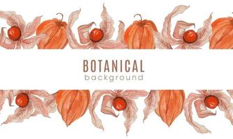 Watercolor background with beautiful physalis. vector