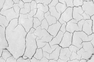 Soil drought cracks texture white background for design. photo