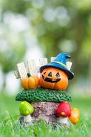 Halloween Pumpkin in garden green nature background photo