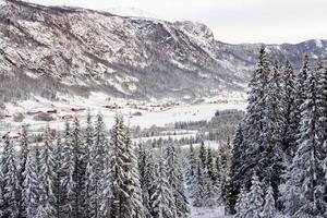 Beautiful norwegian winter landscape from ski slope on valley of Hemsedal Buskerud Norway,seasonal postcard,wallpaper,print for canvas,cover design photo