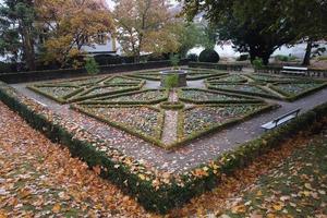 Autumn leaves and trees in the park photo