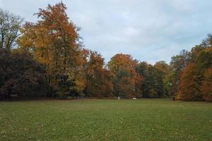 árboles de otoño y hojas con follaje colorido en el parque. foto