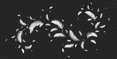 Flying white feather on dark background vector