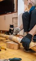 Middle-aged man making homemade cat tree for lovely pet. Vertical photo. photo