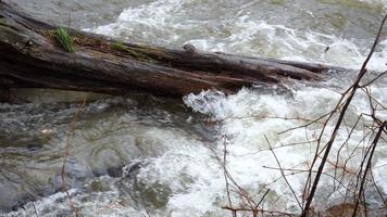 A tree trunk in the river slows the flow video