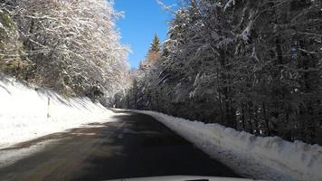 car driving on a snowy road surrounded by the forest under the snow video