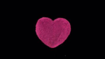 Fuzzy Hairy Pink Heart Tumbling In To Camera video