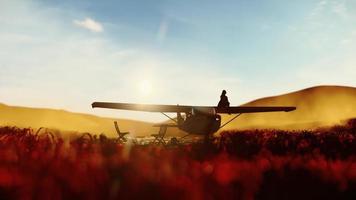 silhouette donna seduta su aereo ala,3d animazione. video