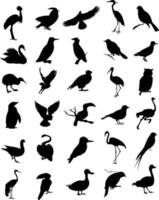 Black silhouettes of various kinds of birds. A vector illustration