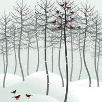 Bird on a tree in Christmas. A vector illustration