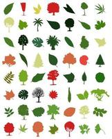 Set of trees. Vector illustration