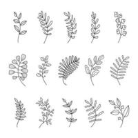 Hand drawn set of twig with leaves vector