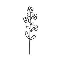 Hand drawn illustration of flowers vector
