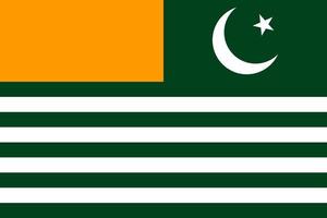 Azad Jammu and Kashmir flag simple illustration for independence day or election vector