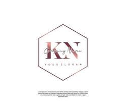 Initial letter KN Feminine logo beauty monogram and elegant logo design, handwriting logo of initial signature, wedding, fashion, floral and botanical with creative template vector
