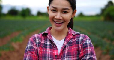 vicino su sparo, attraente ritratto di contadino giovane donna plaid camicia e jeans in piedi attraversato sua braccia, Sorridi e guardare per telecamera nel manioca campo video