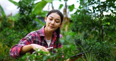 jong mooi boer gebruik tablet en digitaal pen gedurende controle de vruchtbaarheid van tuinbouw in tuin, ze heeft tevreden glimlach video