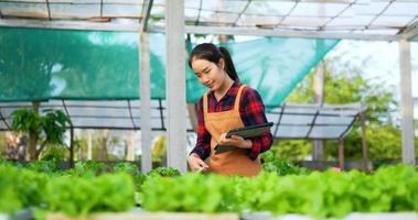 filmagem de jovem agricultora asiática trabalhando com tablet enquanto verifica salada de alface fresca de carvalho verde, vegetais hidropônicos orgânicos na fazenda de berçário. negócio e conceito vegetal hidropônico orgânico. video