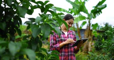 jong mooi boer gebruik tablet en digitaal pen gedurende controle de vruchtbaarheid van tuinbouw in tuin, ze heeft tevreden glimlach video