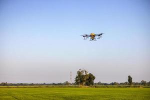 A view of a drone flying against the blue sky during the day to spray pesticides over the green rice fields. photo