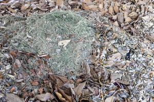 A close-up view of the background of a pile of small leaves and hay. photo