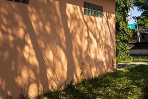 vista de silueta de árboles y ramas de la luz del sol cayendo sobre la pared de una casa de color marrón claro. foto