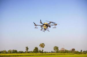 A view of a large black drone flying to spray pesticides over the green rice fields. photo