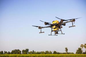 A view of a large black drone flying to spray pesticides over the green rice fields. photo