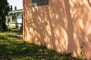 Silhouette view of trees and branches from sunlight falling on the wall of a light brown house. photo